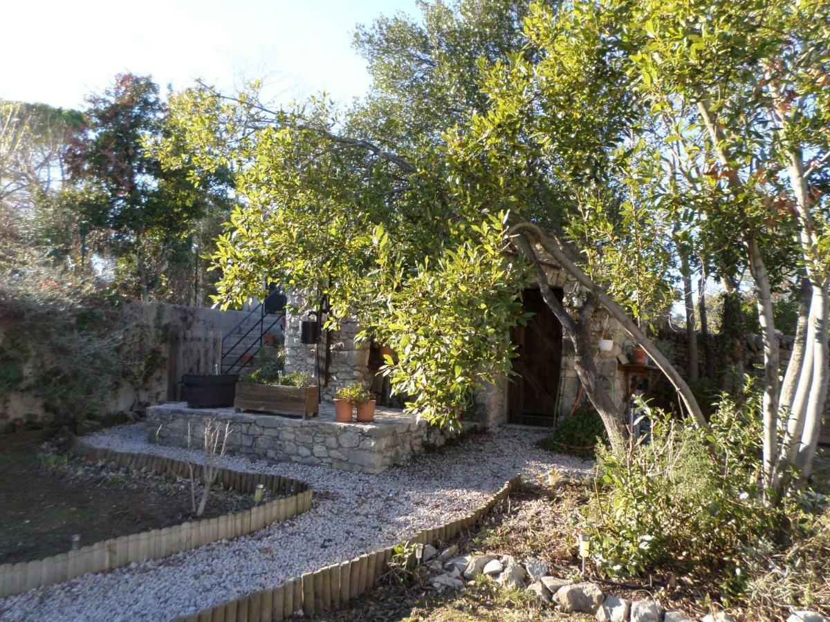Les Broussous Bed and Breakfast Sauve Exteriör bild